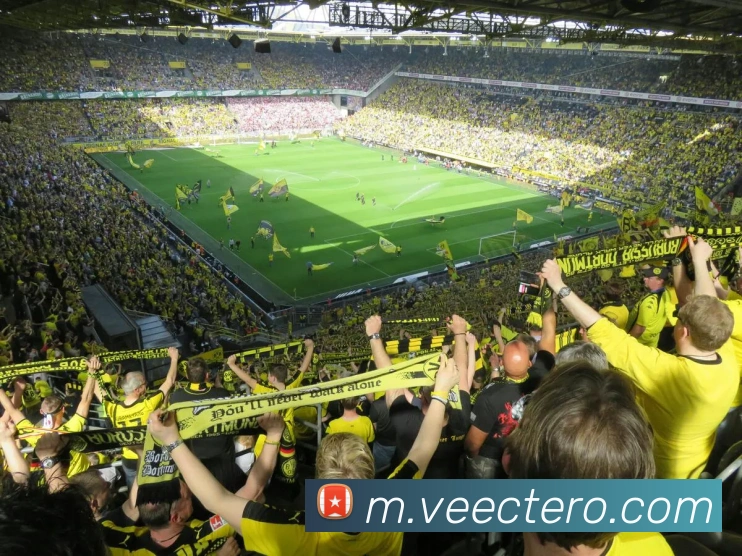 星空体育官方平台APP 封面图